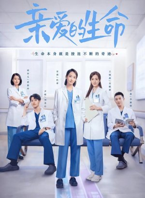 Любимая жизнь