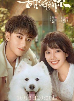 Дорама Любя тебя