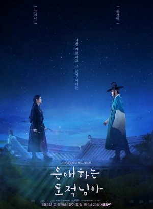 Мой любимый вор