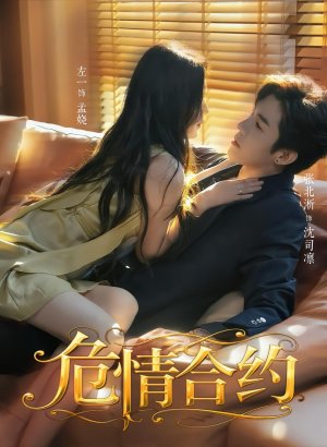 Дорама Опасный контракт